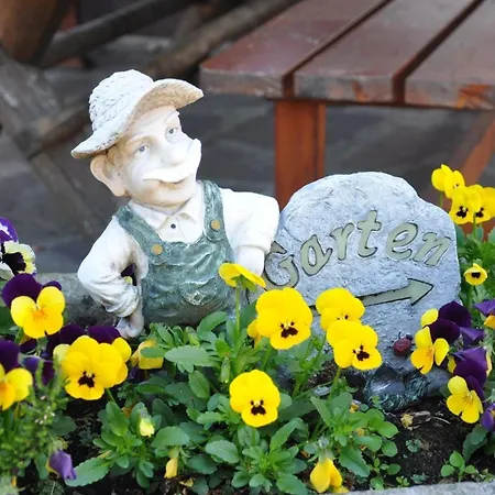 In Mit Grosser Terrasse * Sankt Oswald-Riedlhuette